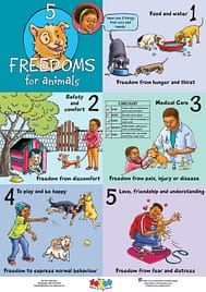 5 Freedoms poster, English download
