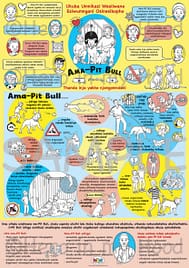 Pit Bull Poster, isiZulu download